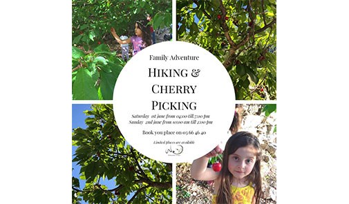 hiking-cherry-picking